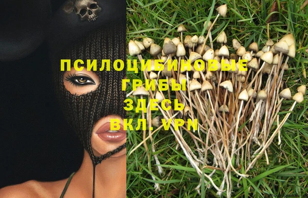 каннабис Баксан