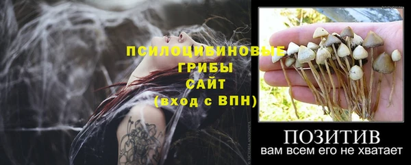 каннабис Баксан